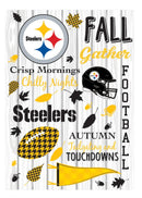 Pittsburgh Steelers, Moire Flag, House Size, Fall Seasonal