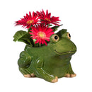 Pollinator Garden Planter, Ceramic Frog