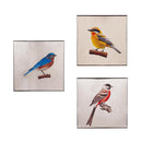 Bird Square Wall Décor, 6"