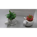 W&W S/2AnimalSucculent Planter