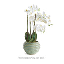 NAPA Home & Garden, AVANI POT Collection