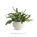 NAPA Home & Garden, AVANI POT Collection