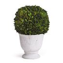 NAPA Home & Garden, Boxwood Ball Topiary in Pot