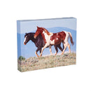 Canvas, Horse,  8" H x 10" L