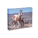 Canvas, Horse,  8" H x 10" L