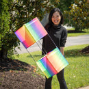 Ever Fliers Rainbow Box Kite with Reel