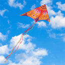 Ever Fliers Orange Floral Burst Delta Kite with Tail and Reel