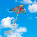 Ever Fliers Spotted Moth Delta Kite with Tail and Reel
