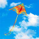 Ever Fliers Orange Mandala Floral Delta Kite with Tail and Reel