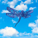 Ever Fliers Floral Dragonfly Kite with Reel