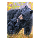 Bear Kisses Suede House Flag