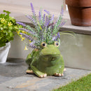 Pollinator Garden Planter, Ceramic Frog