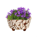 Ceramic Crackled Planter