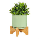 4" Ceramic Planter with Wood Stand, 3 ASST.