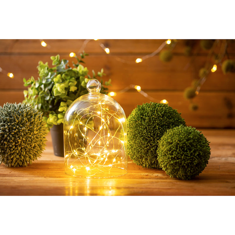 Mini Garden String Lights
