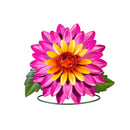 What She Shed Outdoor Lamp & Lighting, Bright Flower Solar Lantern