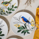Song Bird Ceramic Appetizer Plate Set, 6"