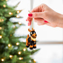 Reindeer Player Ornament, Appalachian State University,3ot988rpo