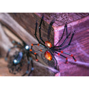 Metal Spider Ornament, Orange/Blue/Red/Purple/Green, 5 Assorted,3otm167