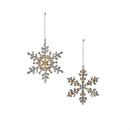 6.5" Metal & Acrylic Jewel Snowflake Ornament, 2 Asst.