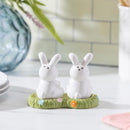 Easter Bunny Scene Ceramic Salt and Pepper Set