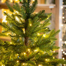 Joyful Traditions Tree Artificial LED Fir, 350 Lights, 60"H