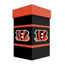 Cincinnati Bengals Ceramic Stein Cup, 24oz