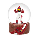 Water Globe, Arizona Cardinals