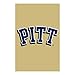 Double Sided Gar Flag, University of Pittsburgh