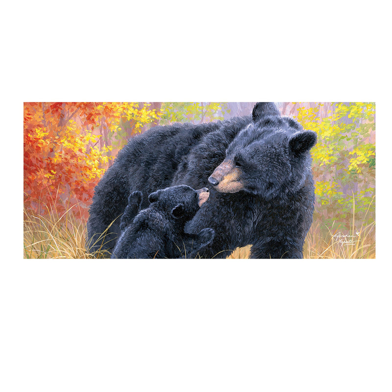 Bear Kisses Sassafras Switch Mat