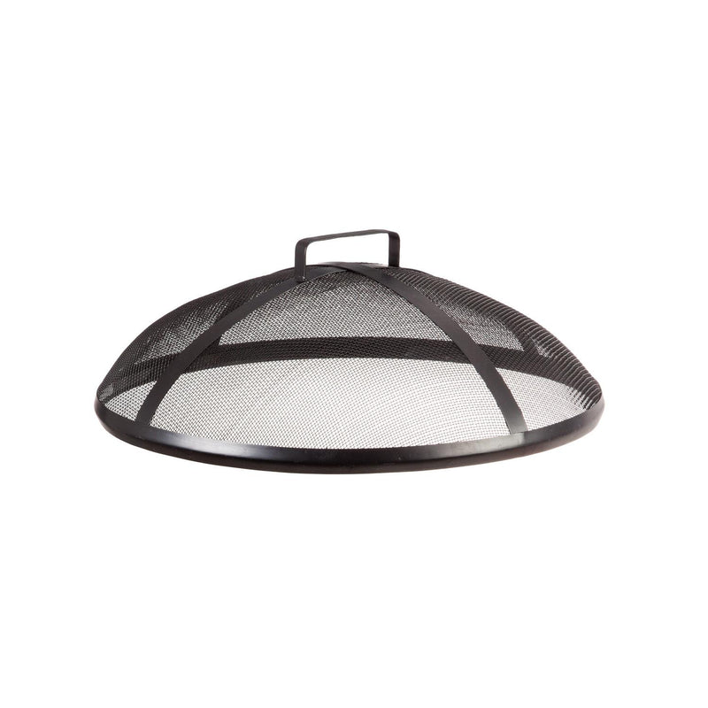 Dragonfly Wood-Burning Fire Pit
