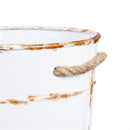 Holiday Poinsettia Planter, French Bucket with Holiday Tag, Set of 3