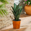 Metal Aloe Plant with Copper Pot, 17"H
