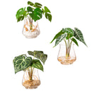 Green Leaves in Acrylic Water With Glass Vase,4fl233