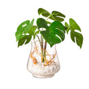 Green Leaves in Acrylic Water With Glass Vase,4fl233