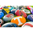 University of Tennessee, Garden Rock