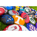 University of Tennessee, Garden Rock