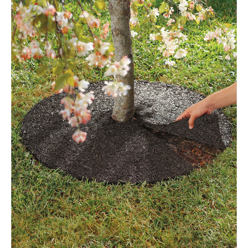 36" TREE RING