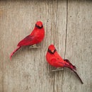 Cardinal Clip Ornament, A/2