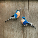 Bluebird Clip Ornament, A/2