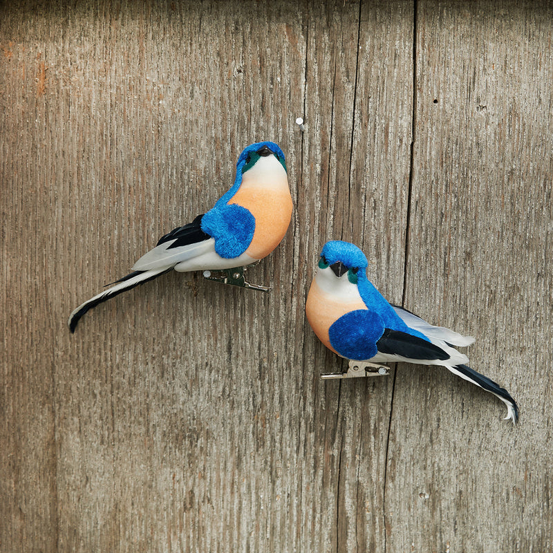 Bluebird Clip Ornament, A/2