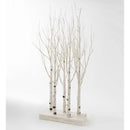 Lighted Birch Line Treescape Accent,65j61nb