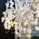 Weeping Cherry Tree 66 LED Lights, 4'