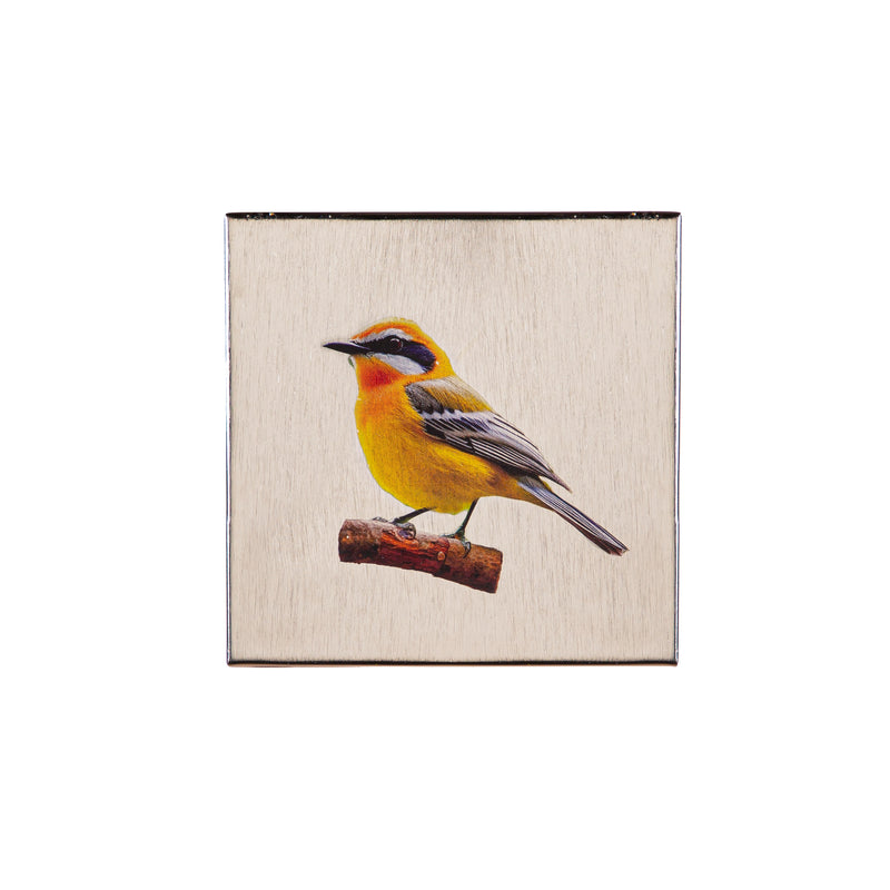 Bird Square Wall Décor, 6"