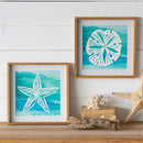 Sand Dollar and Star Fish Paper Wood Frame Wall Art, Set of 2