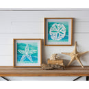 Sand Dollar and Star Fish Paper Wood Frame Wall Art, Set of 2