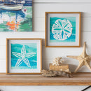 Sand Dollar and Star Fish Paper Wood Frame Wall Art, Set of 2