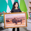 Bison Wooden Wall Décor, 23.5"H x 36"L