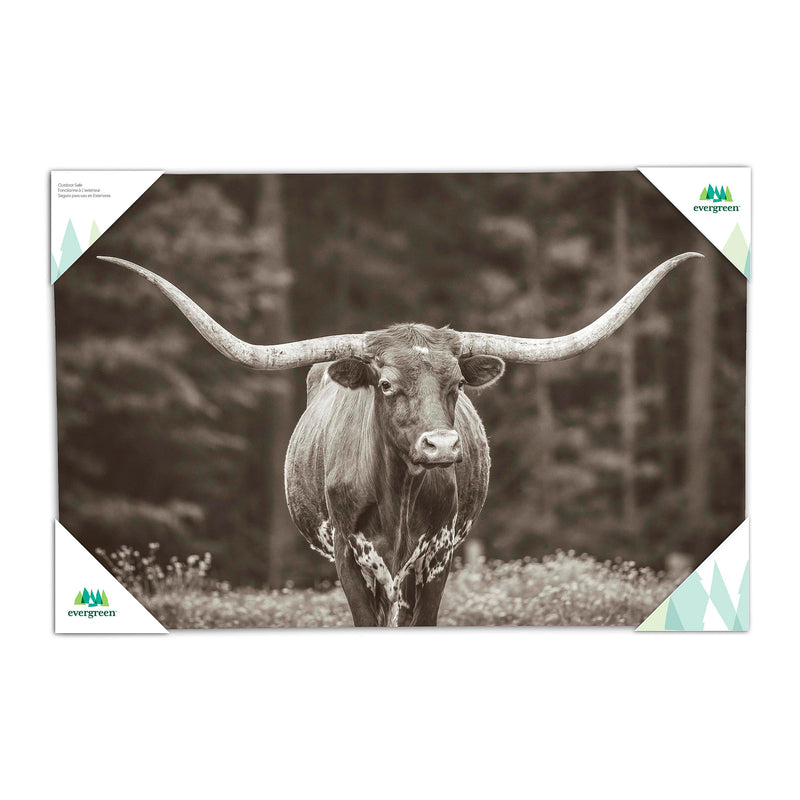 Outdoor Canvas Wall Decor, Longhorn, 36" L x 24" H
