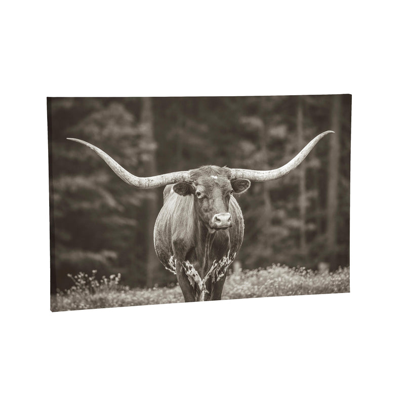 Outdoor Canvas Wall Decor, Longhorn, 36" L x 24" H